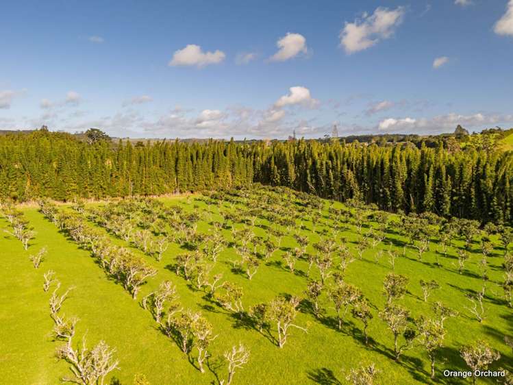 227 Pungaere Road Kerikeri Surrounds_19