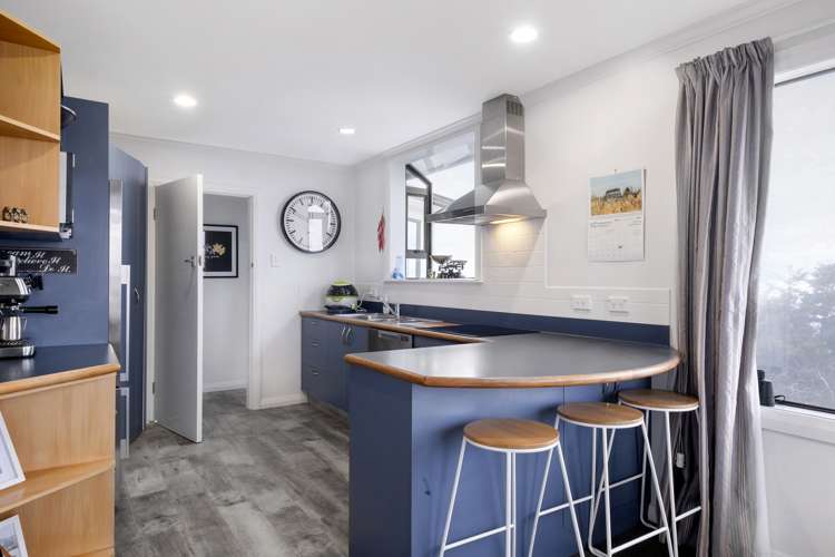 9 Scobie Road Waverley_13