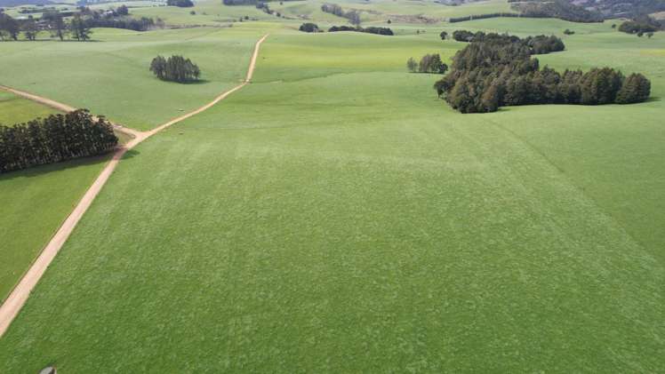 388 Matauri Bay Road Kaeo_14