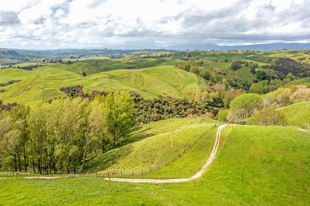 475 Pollock Road Pohangina_1