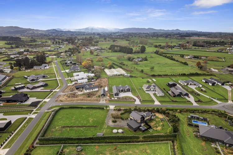 10 Delta Way Te Kowhai_26