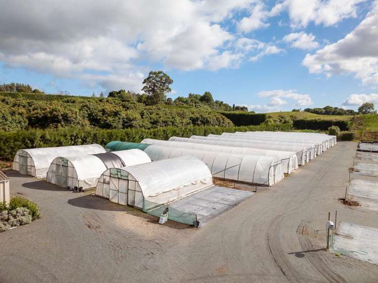 389 Old Highway Whakamarama_6