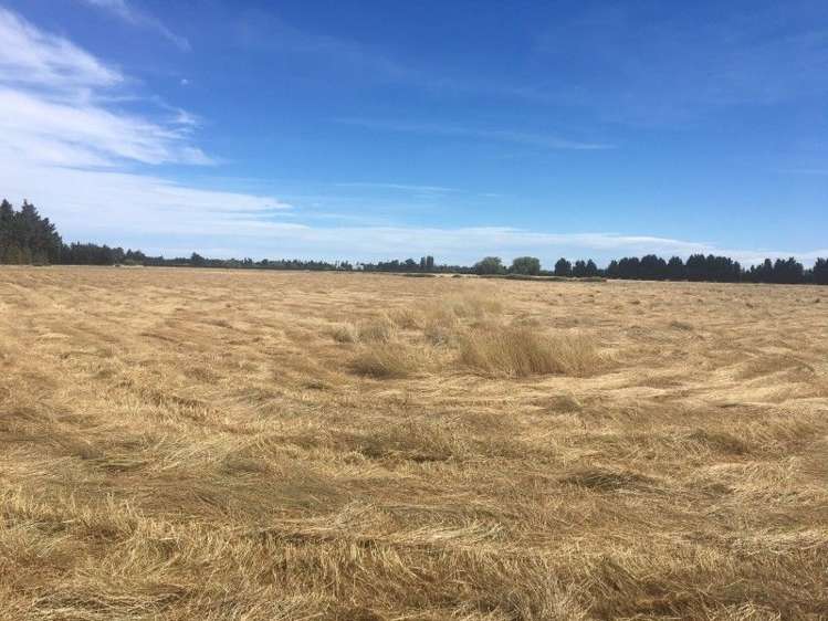 130 Mcleans Island Road Harewood_6