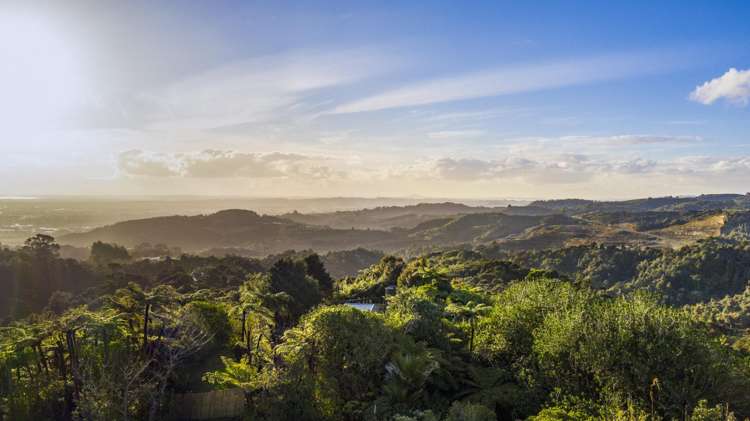 872 Ponga Road Opaheke_3