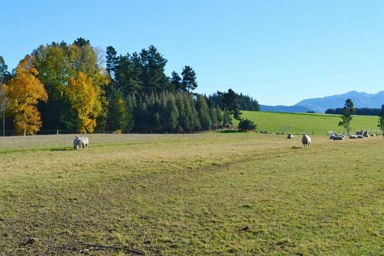 66 Brophy Road Geraldine_13