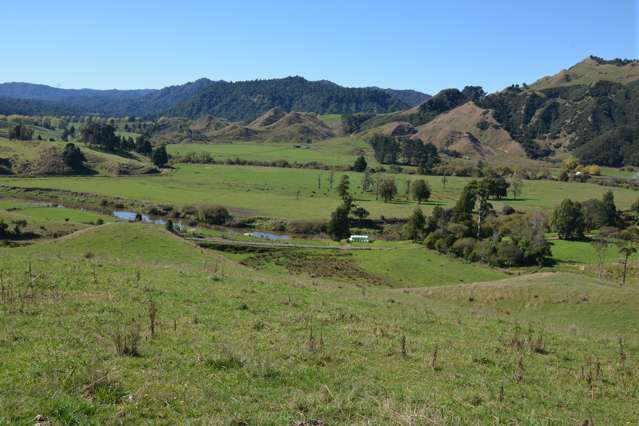 814 Awakau Road Mokau_2