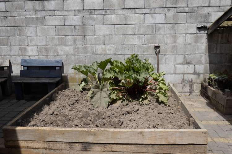 13 Middle Road Allenton_17