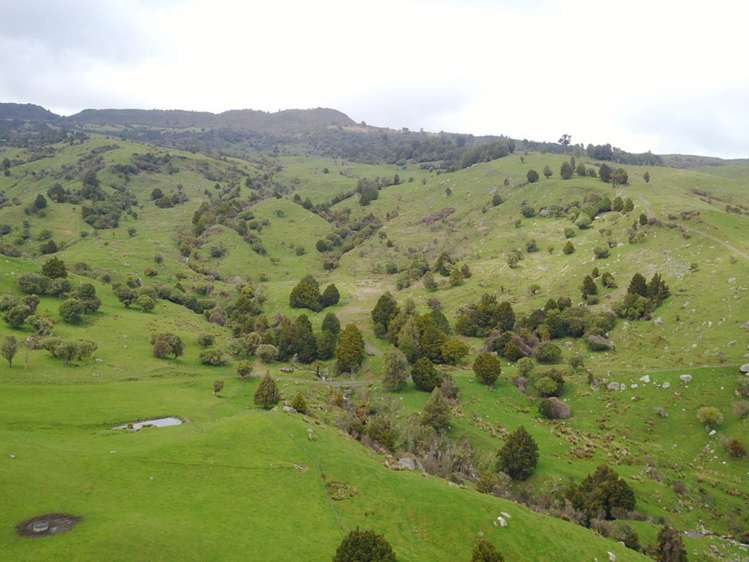 Mangakahu Valley Road Waimiha-Ongarue_10