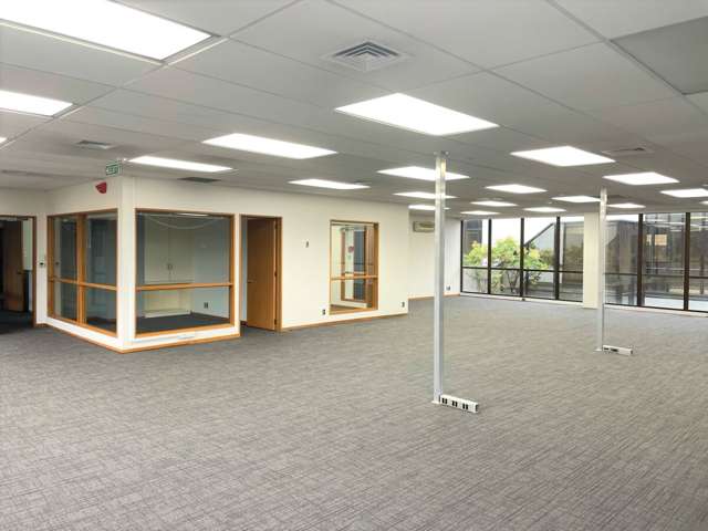 501 Brougham Street Opawa_3