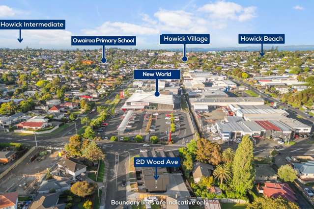 2D Wood Avenue Howick_3