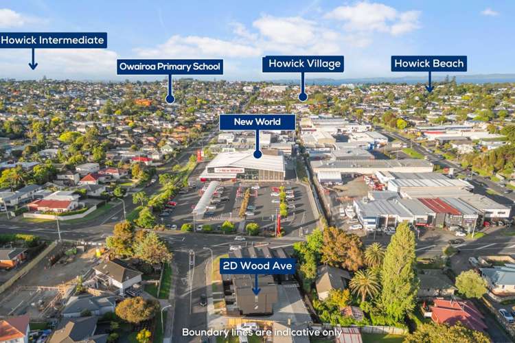 2D Wood Avenue Howick_2