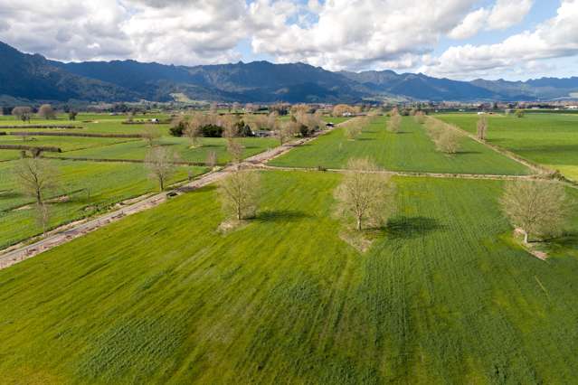 O'Donoghue Road Hauraki Surrounds_3