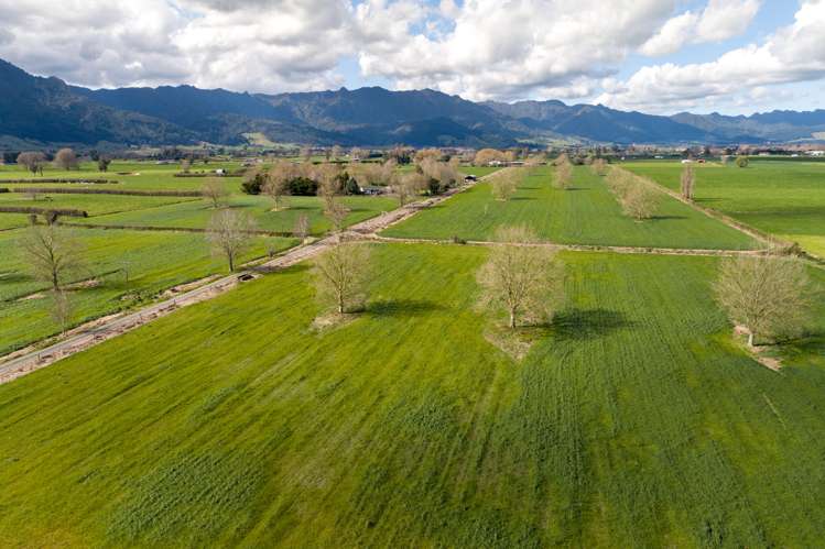 O'Donoghue Road Hauraki Surrounds_3