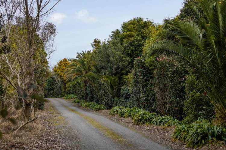 45, 49 and 51 End Farm Road Waikanae_27