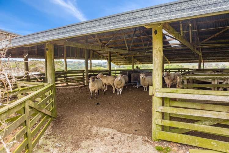 1228a Bull Road Paparoa_11