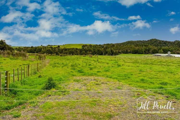 Lot/4 Dodd Road Maungaturoto_14
