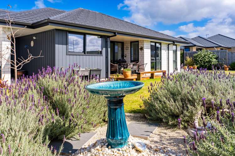 4 Te Taniwha Road One Tree Point_26