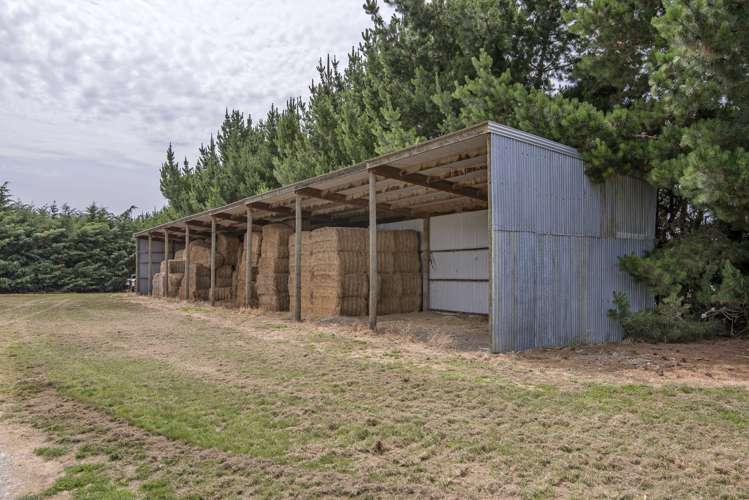 534 Winters Road Pendarves_6