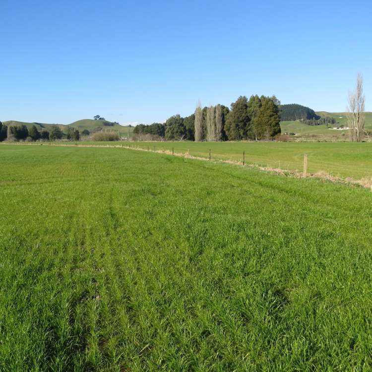 State Highway 3 Te Kuiti_12