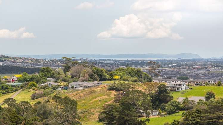 21 Kitenga Road Flat Bush_1