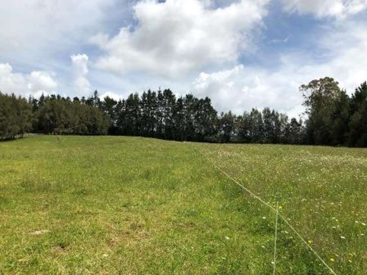 88 Kirikiri Lane Kerikeri Surrounds_4