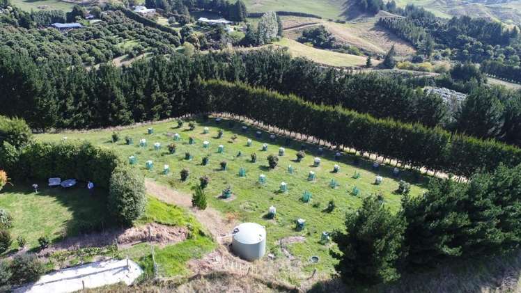 520e Upper Ohauiti Road Ohauiti_19