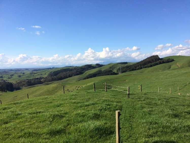 198 Harbottle Road Morrinsville_8