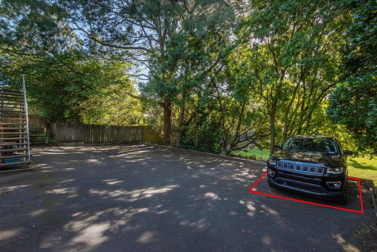 4/8 Edenvale Park Road Mt Eden_20