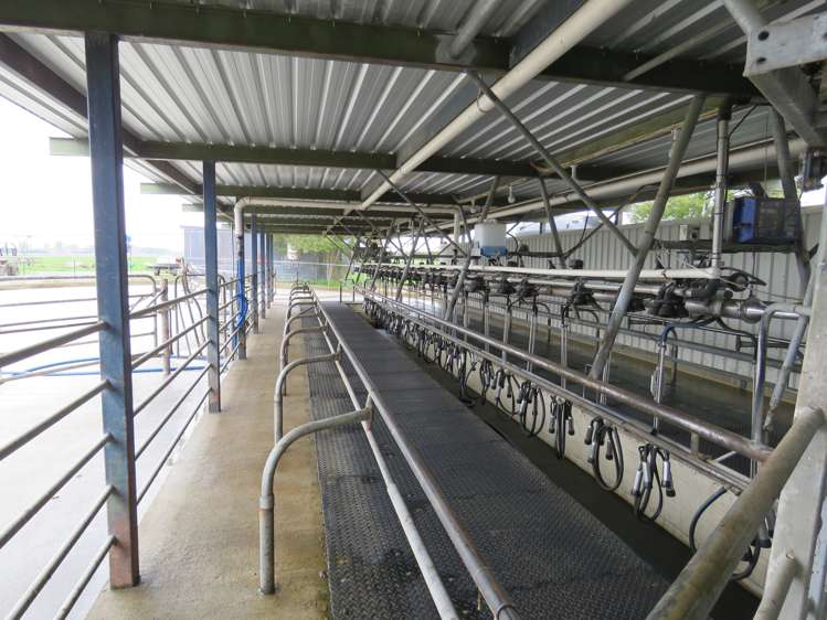 1267 Leeston Road Leeston_1