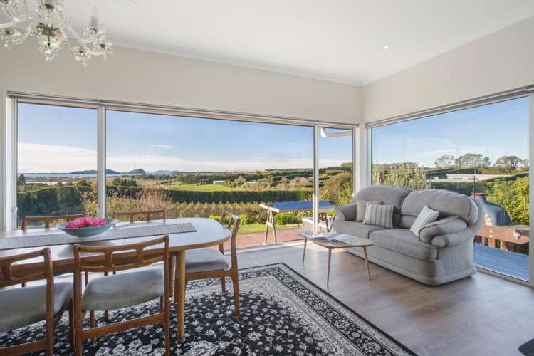 252 Tuapiro Road Katikati_4