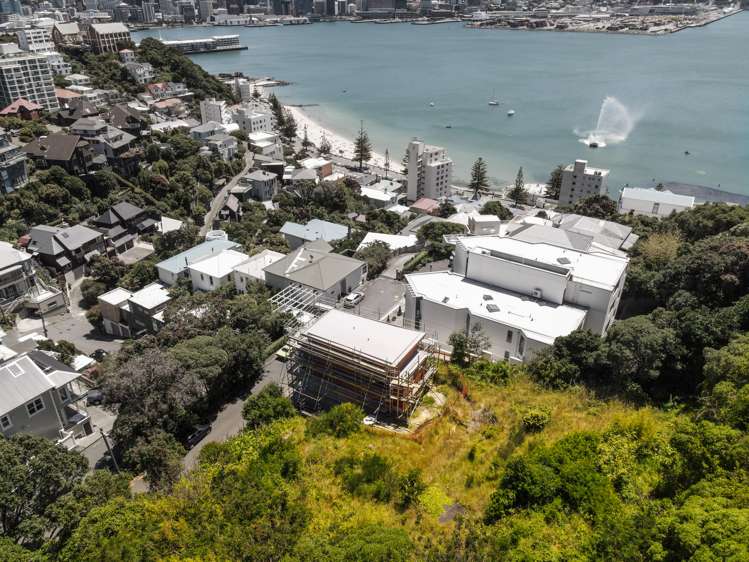 16 Telford Terrace Oriental Bay_5