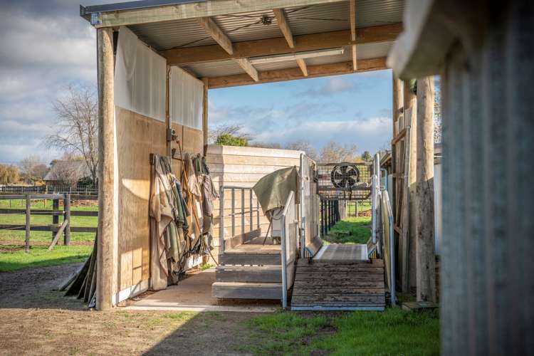 2/101 Racecourse Road Cambridge_16