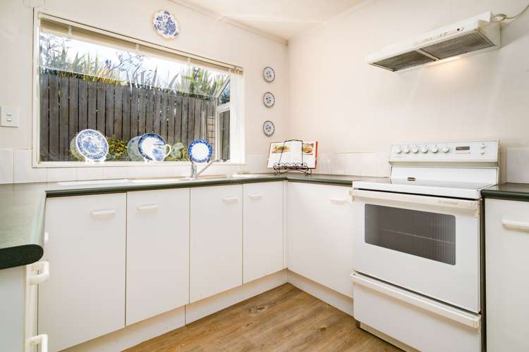 11 Evergreen Rise New Lynn_8