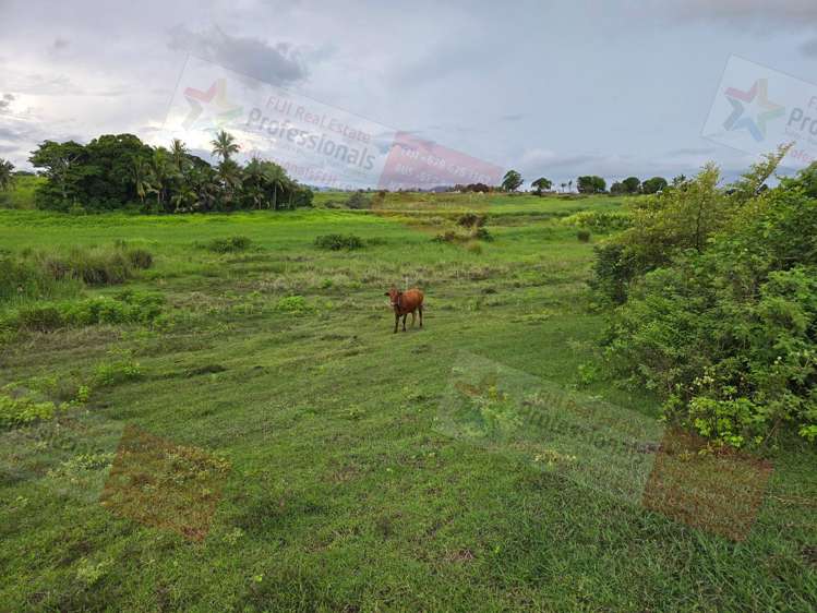 Address withheld Sonaisali_11