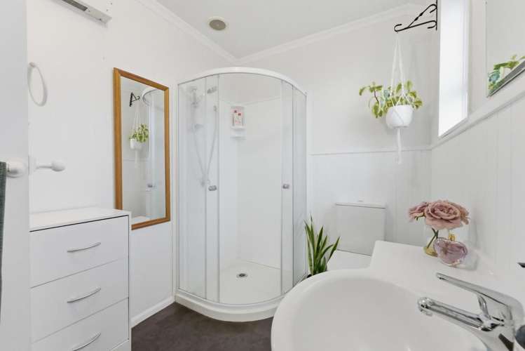 327 Carrington Street Vogeltown_17