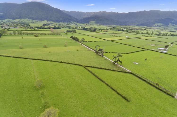 49 Mckinley Road Hauraki Surrounds_2