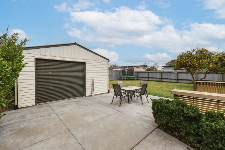 23 Plunket Street Tamatea_18