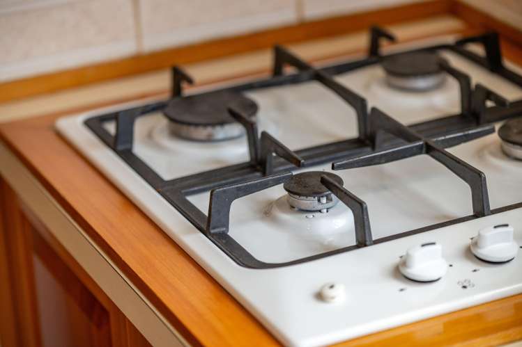 61 Te Aroha Street Hamilton East_9