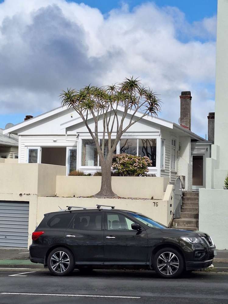 75 Carlton Gore Road Newmarket Auckland City Houses for Rent
