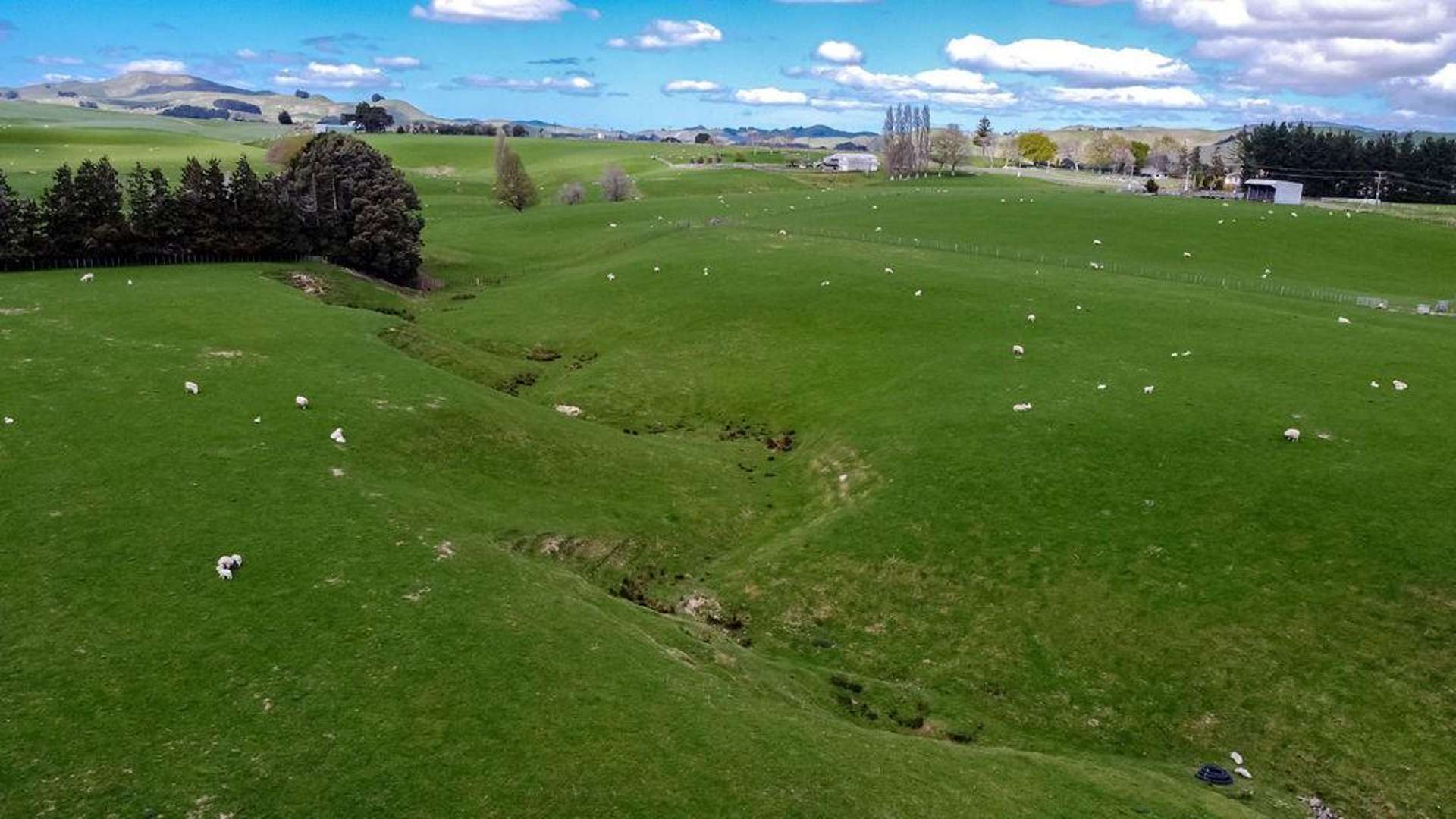 680 Cowper Road Dannevirke_0