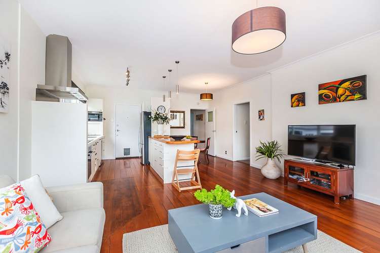 55 Darlington Road Miramar_8