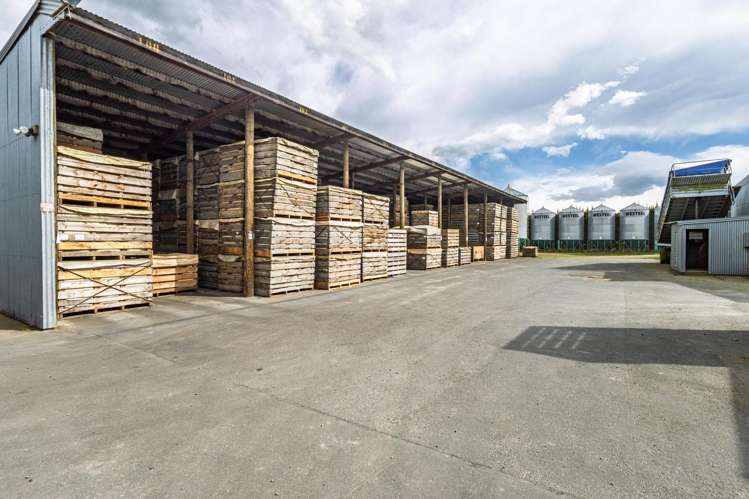 20 Framptons Road Hinds_9