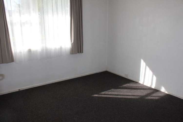 23 Kereru Street Tokoroa_6