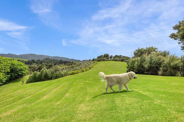 33 Rua Road Mangawhai_2