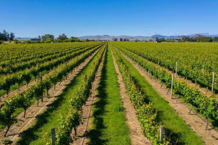 263 Chaytors Road Spring Creek_11