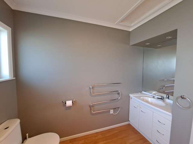 226 Mangorei Road Merrilands_1