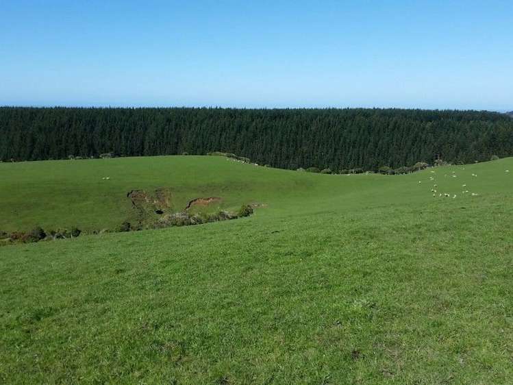 1584a Brunswick Road Kai Iwi_17