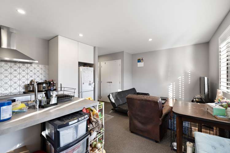 6 Masons Court Lower Shotover_22