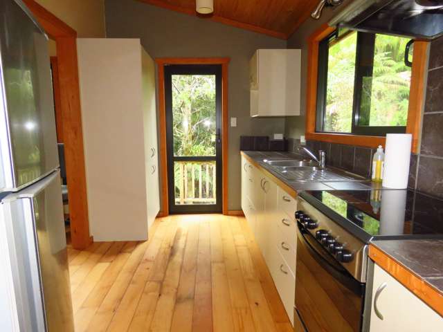 304 Mokihinui Preserve Seddonville_3