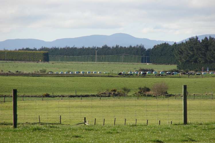 19 Lake Road Longbush_8